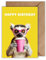WBdesignz Grußkarten mit Umschlag - lustige Tiermotiv Karten (Cooler Lemur)