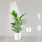 Lampe horticole 24V, LM281B+ & 660nm pour la culture en intérieur, Lampe de croissance à LED à spectre complet pour semis, 5 niveaux de gradation, 18W 290umol/s/m²@Dist:15cm