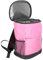 Paquete de Hielo Aislado Nevera portátil para pícnic Bolsa más fría del Almuerzo Mochila de Almuerzo Bolsas de pícnic Mochila Nevera Bolsa Mochila pequeña más peva Rosa