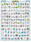 GB eye Poster, Hoenn Pokémon, Deutsch, 91,5 x 61 cm
