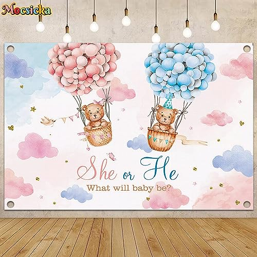 Rosa und Blau Geschlecht Enthüllen Hintergrund Dekorationen She Or He Kulisse Banner Schwangerschaft Ansage Party Zubehör Fotografie Hintergrund für Geschlecht Enthüllen Baby Party 180 x 120cm (A)