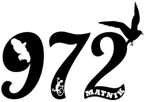 Autocollant Sticker Martinique 972, Stickers carte Matnik, Vinyle haute performance pour Voiture, Autocollants lezard (1 - noir profond)