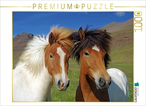 CALVENDO Puzzle EIN Motiv aus dem Kalender Die Pferde Islands | 1000 Teile Lege-Größe 64 x 48 cm Foto-Puzzle für glückliche Stunden