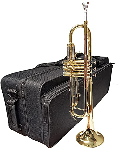 Trumpet Herche Superior Bb Trumpet M1 | Professional Instruments for all levels | MONEL VALVES | Rosebrass/Nickel-Silver/Gold | Solid Feel and Sound