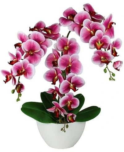 Hochwertige Silikon-Orchidee in Boot-Design - Langlebig und pflegeleicht
