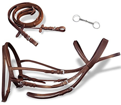 Homgoday Leder Flash Trensenzaum mit Zügeln und Gebiss braun Pony Trensen Sportartikel