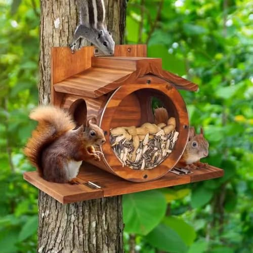 Mangiatoia per Scoiattoli Casa in Legno Scatola Alimentazione Scoiattoli