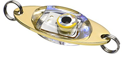 Fladen Angeln – 20 g Pilker LED Attraktor Aufsatz Blinklicht für Nachahmung lockt (verschiedene Farben) – Ideal für Deep Sea, Eis, Spin und Predator Angeln