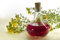 Olio di IPERICO Biologico Puro Prima Qualità in Vetro (200 ml)