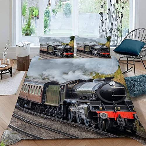 JIARAO Eisenbahn Dampfmaschine Kinder Bettwäsche-Sets 135x200 3D Druck 3-teilig Bettwäsche 100% Mikrofaser Weiche mit Reißverschlus Retro-Zug Soft Kuschelig Bettbezüge mit 2 Kissenbezug 80x80 cm