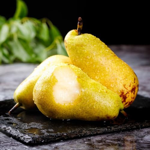 birnenbaum kaufen samen,birnen baum - stauden winterhart mehrjährig, obstbäume kaufen birnbaum samen saatgut alte sorten, zwergobstbäume balkon, winterharte stauden pflanze, exotische 10pcs