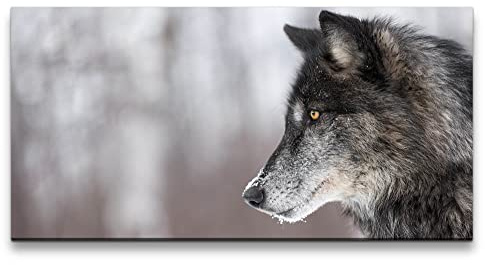 Paul Sinus Leinwandbild 120x60cm Schwarzer Wolf Wild schönes Tier Eis Winter