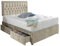 SANA SLEEP Crushed Velvet Designer Fabric Divan Bed Set With Pocket Spring Memory Foam Mattress, No Storage and Matching Headboard 4FT6 Double - Cruhsed Velvet Champagne