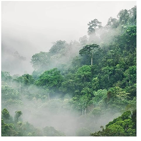 Bilderwelten Fototapete Wald 192 x 192 cm Vlies-Tapete XXL Waldtapete Dschungel im Nebel Smart Wandtapete Wanddekoration Wohnzimmer Schlafzimmer