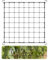 Scrog Netz 80x80 cm Pflanzennetz Elastische Ranknetz für kletterpflanzen Gartennetze mit 4 Haken Ranknetz für Pflanzen, Gemüse, Früchte, Blumen
