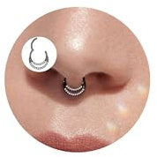 16G Septum Ring Doppelter Zirkonia Nasenpiercing Daith Piercing 8/10mm | Lantine Silber Gold Rosegold Schwarz Septum Segmentring Clicker Nasenring Chirurgenstahl Conch Helix Tragus Ohr Piercing