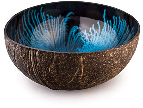 Kaloogo Cocobowl Splash Kokosnuss Deko Schale (blau, organisch)