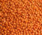Soleilfood Rote Linsen 10 kg Red Lentils Mercimek Hülsenfrüchte feinste Qualität