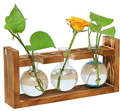 Hydrokultur-Behälter für den Schreibtisch, Glas-Pflanzgefäß, Blumenzwiebel-Vase mit massivem Holzständer für die Vermehrung von Hydrokulturen, Pflanzen, Zuhause, Garten, Hochzeitsdekoration