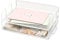 Exerz Letter Trays 2pcs Stackable Paper Sorter/Desk File Tray/Desk Organiser - Metal Rack - Office, School, Home (2pcs White)