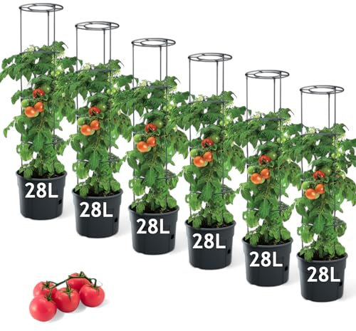 MELTOM Tomatenpflanztopf mit Rankhilfe – Ideal für die Tomatenzucht, Pflanzenaufzucht-Turm mit Stütze für stabile Pflanzen, erhältlich in 3 Größen: 12L, 18L, 28L. (6, 28 L)