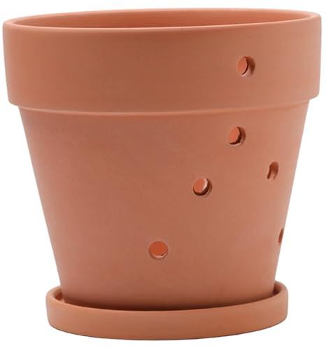 Monetais Pots à orchidées avec Trous, Pots en Terre Cuite avec Soucoupe, Pot de rempotage pour orchidées pour Usage intérieur et extérieur, 7 × 6 Pouces