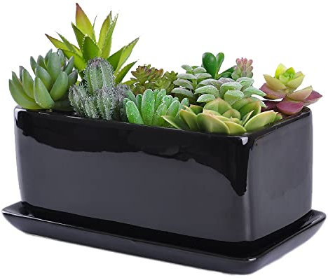 VanEnjoy 10 Inch Black Rectangle Ceramic Succulent Planter Pot Decorative Cactus Plant Pot Flower Container with Ceramic Tray