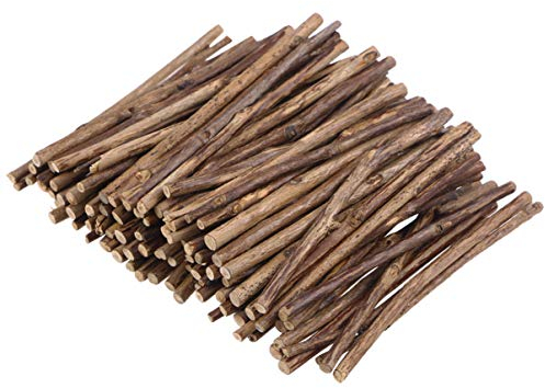 BESPORTBLE 100 Stück 10CM Holzstäbchen zum Basteln Holzsticks Holz Log Sticks Holzstiele für DIY Basteln Kunst Handwerk Heimwerker Foto Requisiten (Holzfarbe)