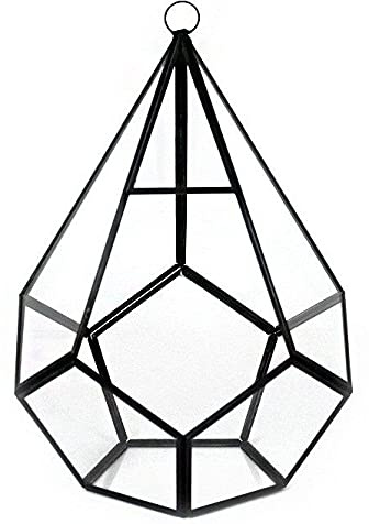 Floralcraft® Hanging Teardrop Terrarium, Black Glass Plant Display (H26 x W17cm), Decorative Hanging Planter for Succulents, Ferns, Moss & Cacti