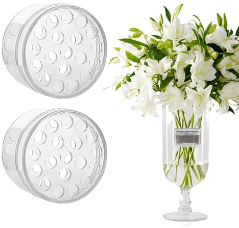 TREABEAR 2Pcs Hanataba Ikebana Stielhalter, Blumenhalter, Transparenter Spiralstielhalter für Blumen, Hanataba Blumenhalter, Blumenretter für Accessoires Blumen Blumengesteck Twister DIY