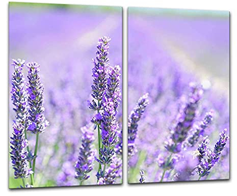 gsmarkt | Herdabdeckplatten Ceranfeldabdeckung Spritzschutz Glas 2x30x52 Lavendel Violett Blumen