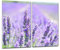 gsmarkt | Herdabdeckplatten Ceranfeldabdeckung Spritzschutz Glas 2x30x52 Lavendel Violett Blumen