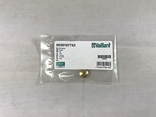 Vaillant Schraube, Vaillant-Nr. 0020107743