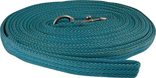 York Longe Longierleine für Pferde Stripe Softlonge Pferdelonge für Reitsport 8,5m (blau-türkis)