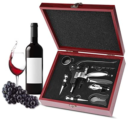 Flexzion Wine Opener Set, 9-Piece Manual Lever-Style Corkscrew with Case
