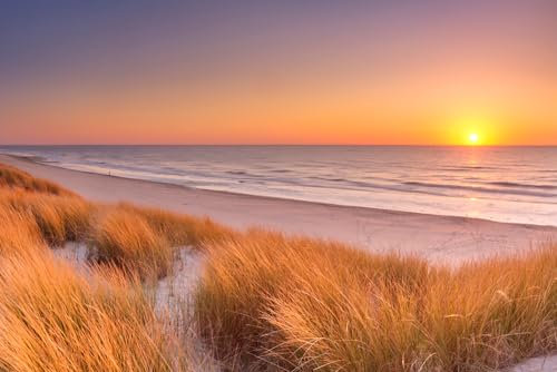 Puzzle für Erwachsene 1000 Teile Dünen Strand bei Sonnenuntergang Texel Island Die Niederlande Foto Familie Lustige Herausfordernde Urlaubspuzzles für Erwachsene Puzzle Geschenk für Frauen Männer