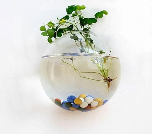 Vaso in vetro borosilicato, 12 x 12 x 10 cm, per piante acquatiche, fiori e coltura idroponica, design moderno, resistente al calore e versatile