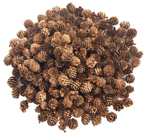 200 pcs Mini Weihnachten Tannenzapfen Natürliche Kiefernzapfen Weihnachten Kiefernzapfen Dekoration für Weihnachtsbaum Dekoration Vasenfüllung DIY Handwerk