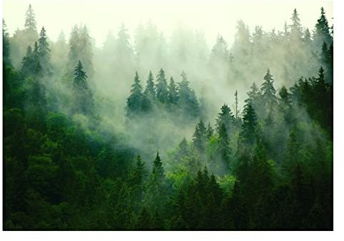 WallArena - Vlies Fototapete Wald im Nebel Bäume Panorama Natur 368x254 cm - Fototapeten - Tapeten - für Wohnzimmer Schlafzimmer - Vliestapete Wandtapete Tapete 3D Effekt- inkl. Kleister