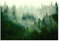 WallArena - Vlies Fototapete Wald im Nebel Bäume Panorama Natur 368x254 cm - Fototapeten - Tapeten - für Wohnzimmer Schlafzimmer - Vliestapete Wandtapete Tapete 3D Effekt- inkl. Kleister