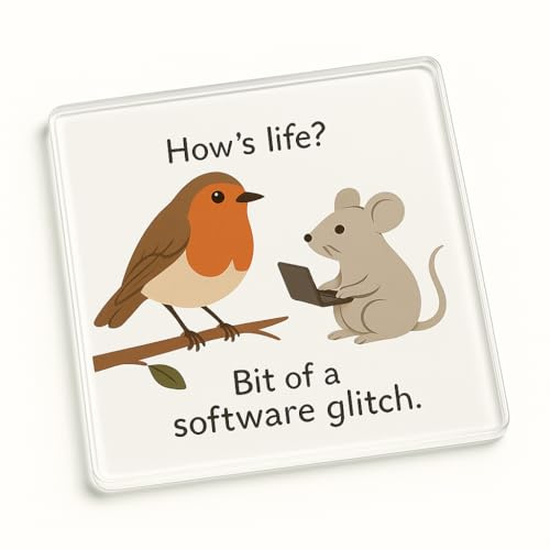 Funny Acrylic Coaster Gift - Whimsical Cartoon Design with Robin and Mouse - Unique Desk Accessory Present
