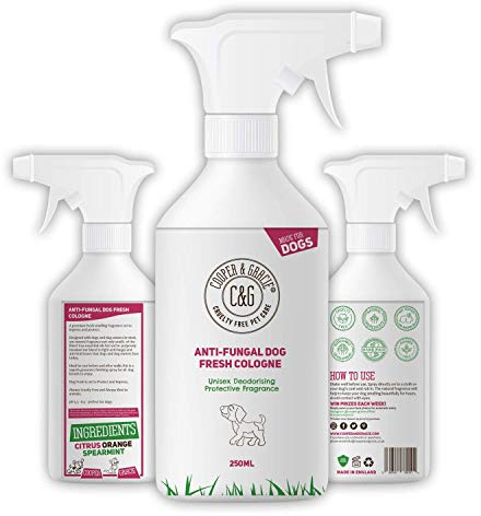 Antifungal Dog Fresh Cologne, Deodorising Perfume Spray | Citrus Orange and Spearmint Essential Oils, For Smelly Coats Before and After Walks, Wipe On With a Cloth, pH 5.5 to 6.5