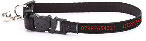 Katzenhalsband, personalisierbar, mit Telefon, Adresse, Namen und jedem Text, personalisierbares Identitäts-Halsband für Kätzchen