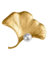 hcma 925 Silber Kreative Goldene Gingko-Blatt-Brosche Damenmode Eingelegte Perlenbrosche Bekleidungszubehör