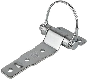 WINTERHOFF UNITRAILER Charnière BSCH 30-2 - Solide, Anticorrosion, Idéale pour Remorques et Usages Polyvalents