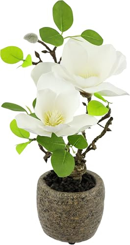 Künstliche Magnolie im Topf 33 cm wie echt Deko Kunstblumen Blume Zimmerpflanze Baum klein Geschenk Magnolienblüten Frühjahrsblume Blätter Kunstpflanze Frühjahrsdeko Frühjahrsblüher Topfblume, Weiß