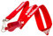 BLARIX Guard Pea Whistle and Lanyard (Red and Red Lanyard w/Print)
