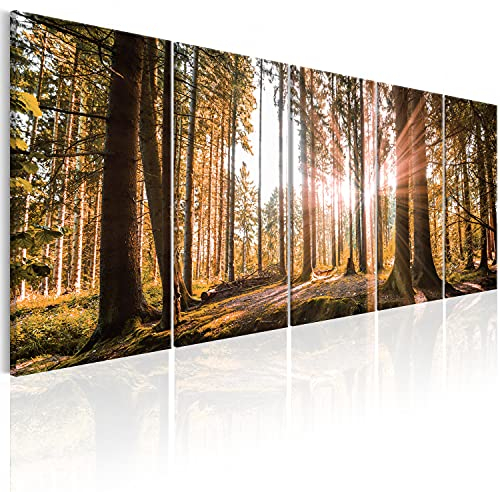 B&D XXL Acrylglasbild Wald 100x40 cm 5 Teilig Wandbild auf Acryl Glasbilder Kunstdruck Moderne Acrylglas Platte Wanddekoration Geschenke Heimdekoration Glasbild - Landschaften Natur Panorama Baume