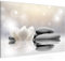 Runa Art Tableau mural Tulipes Fleurs Moderne Tableau Decoracion Murale - Spa Zen Gris Salle 506015a