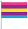 Bi Pan Combo Pride Flag Flagge 9,1 x 1,52 m – UV-beständig – Gartenflagge im Freien mit Ösen